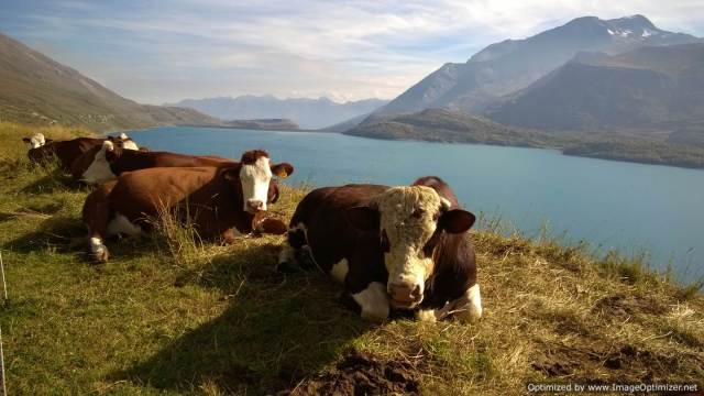 WP_20140923_16_07_33_Pro