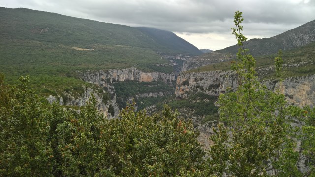 WP_20150810_12_23_00_Pro